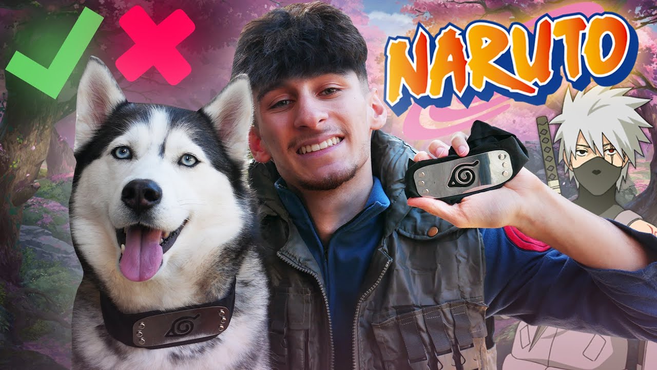Je Test L Intelligence De Ma Husky Version Naruto Le Chien De Kakashi Youtube