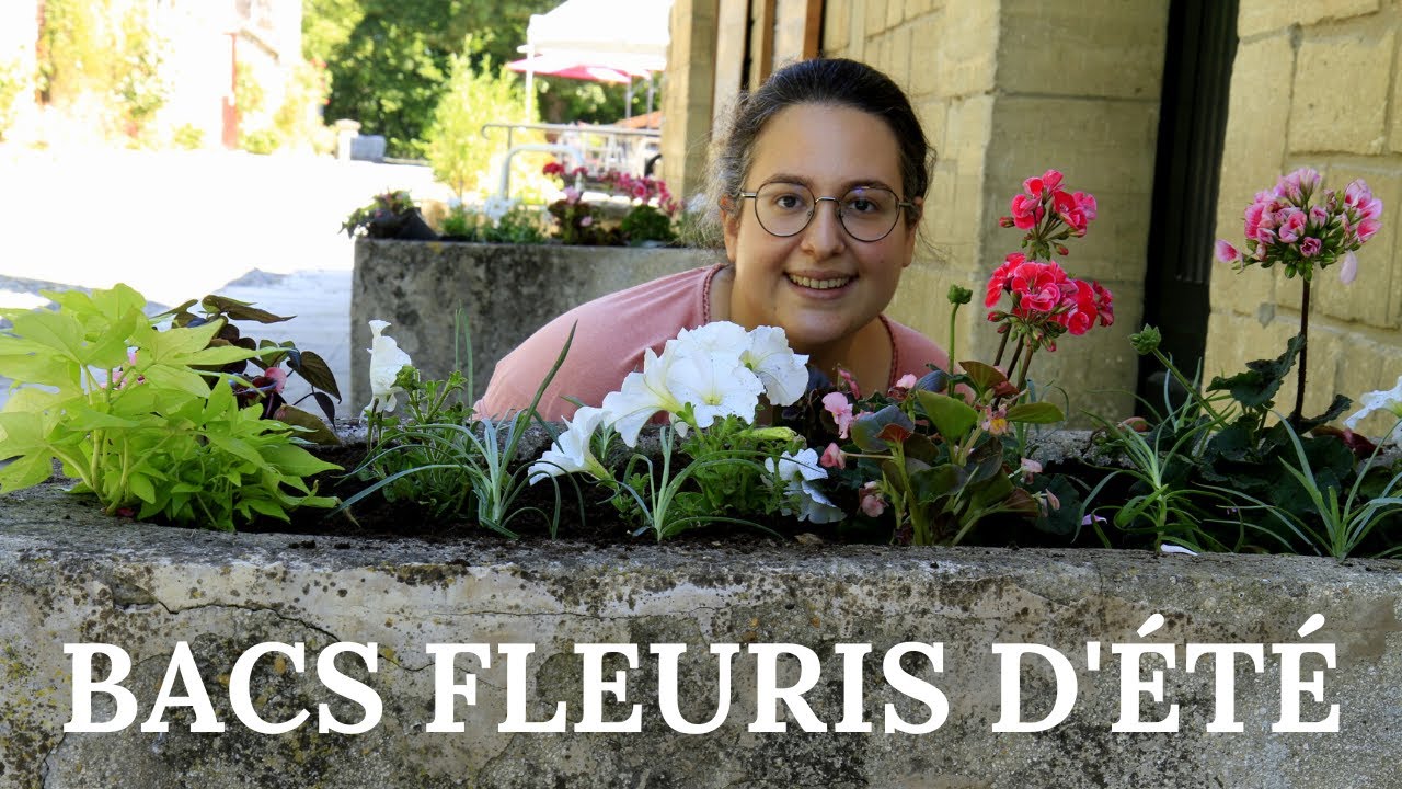 Je compose un bac à fleurs d'été