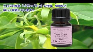 今回は イランイラン アロマオイル 精油 の効果 効能 特徴を説明しています Youtube
