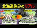 涼しさと海の幸を求めて北海道に移住したずんだもんの末路