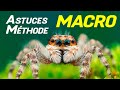 Maitriser la photo macro  astuces rares  tuto macrophotographie