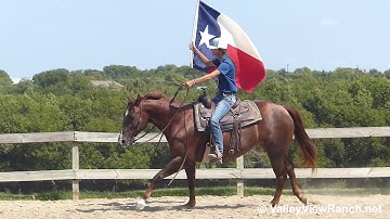 Attitudes Desire - carrying the flag! - ValleyViewRanch.net