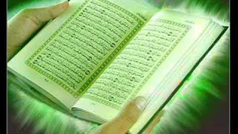 سورة التكوير | تلاوة المقرئ محمد حسين عامر Holy Quran