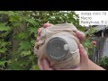 FUJIFILM instax mini 70 自作フィルターとペイント(DIY Filter、Painting) パ●ストとネ●ル instax mini 8 も