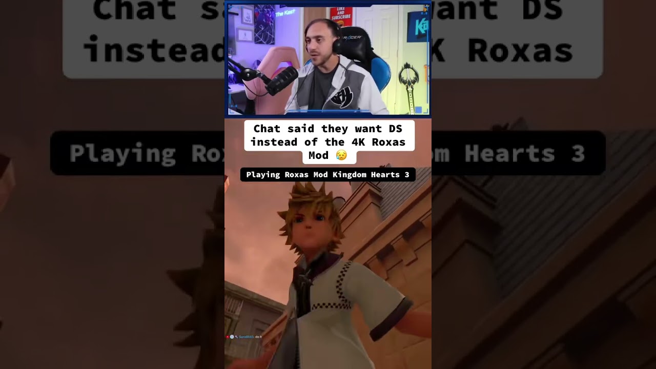 Chat said they wanted a DS game instead of the 4k Roxas mod 😢
