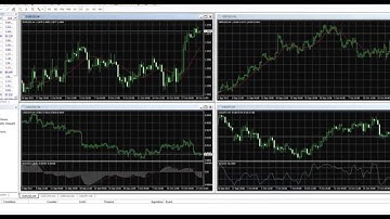 Orbex How to install and setup MT4