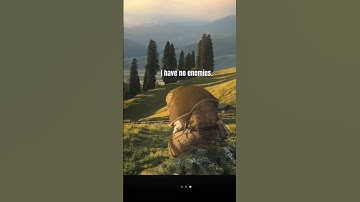 Thumbnail of I have no enemies. #song Name song:Duvet by Bôa