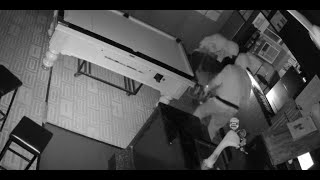 Serious Criminal Trespass and Theft – Glanville