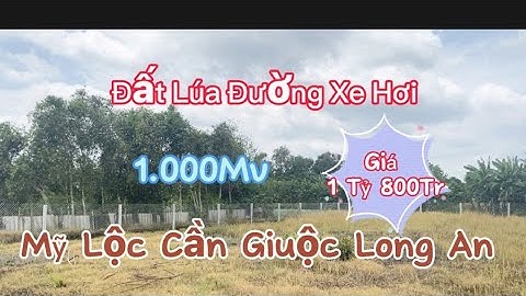1.000mv Đất lúa Đường xe hơi Mỹ lộc Cần giuộc Long An