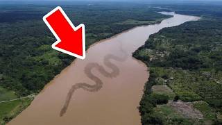 Pourquoi Il n’y a Pas De Pont Sur Le Fleuve Amazone