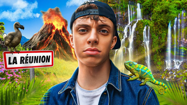 JE DÉCOUVRE UNE ILE INCROYABLE ! (VLOG A LA RÉUNION)