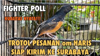 KUALITAS NYATA TROTOL MURAI BATU DOUBLE RING APBN BNR GUDANG MURAI KEMAYORAN