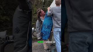 Rudder Crisis: Boat Needs Urgent Fix #shorts