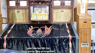 ציון רבי נחמן מברסלב באומן - שידור חי
