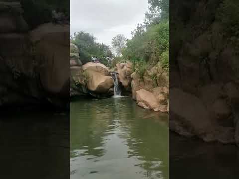 بركة الفيل في السودان