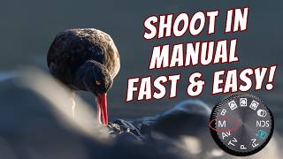 Manual Mode Made Easy– Step by Step Guide - Get out of Auto Easy