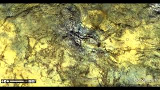 🔥MARS You Won't See It Anywhere Else Like This~Exclusive Alien Structures~Landscaped Walkways!