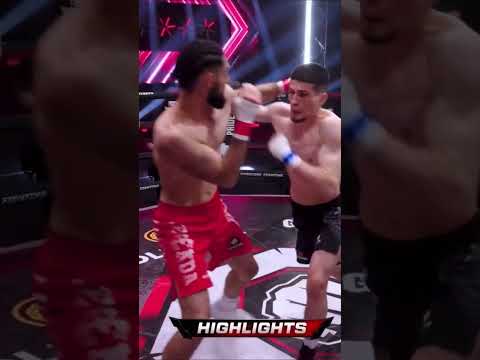 Ибрагим Никархо нокаутировал Эмиля #кулачка #shortvideo #кулачныебои #shortsvideo #шоу #бои