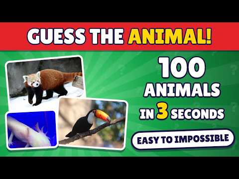 Guess 100 Animals in 3 Seconds