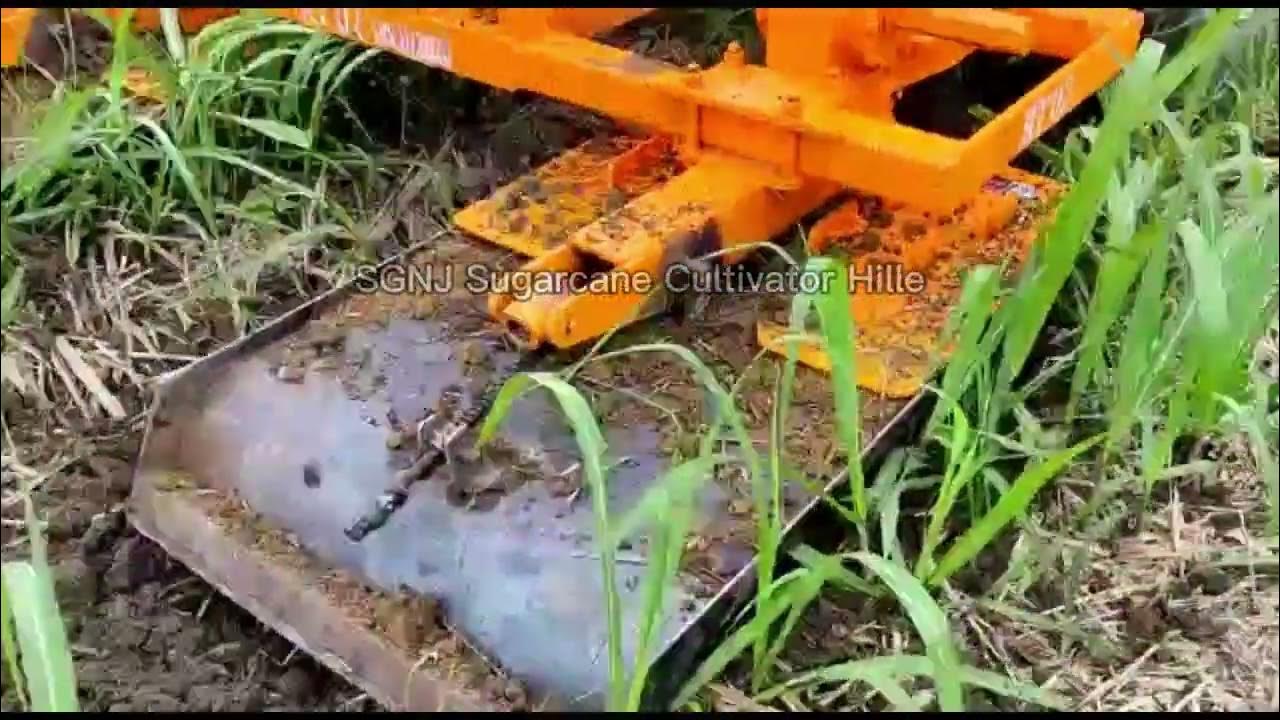 High Quality weeding Sugarcane Cultivator Sugarcane Rotary Tiller