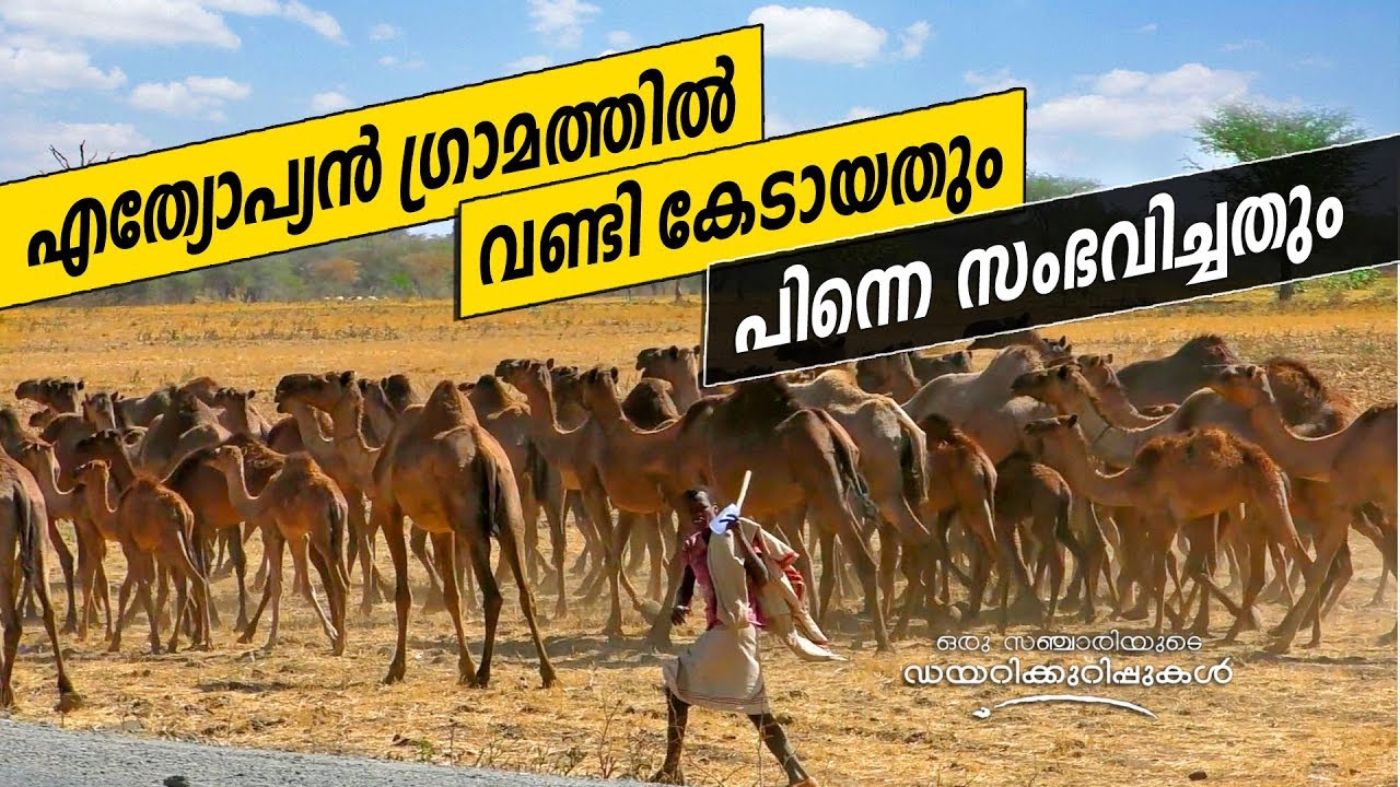 Life in Great Rift Valley, Ethiopia | Oru Sanchariyude Diary Kurippukal | EPI 328 | Ethiopia