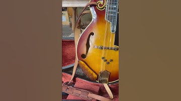 My mandolin. This is Daina, my Gibson F5. #mandolin #gibsonf5 #instrument #bluegrass