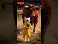 مياو في ورطة بالعزبة خاله الأسد والبقرة قلبوا اليوم كابوس Shorts Ai Cat Viral 