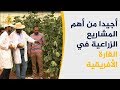 المغرب قصة نجاح لمبادرة مشروع أجيدا الزراعي الصحراوي