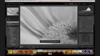 Celebrity Adobe Lightroom Tutorial: Develop Module Basics Net Worth