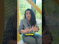 Studying in Germany? What To Expect