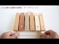 小さな森の合唱団(琉球版) オークヴィレッジ