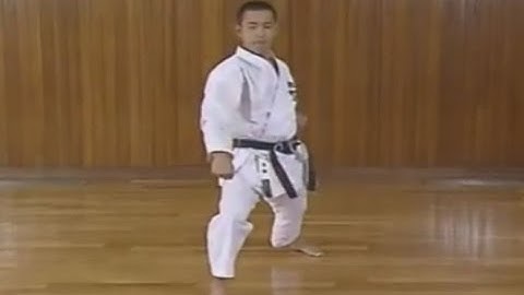 Karate Gedan Barai - How to do a proper Low block - Downward Block
