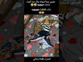 الغباء ههههههه اضحك ضحك كوميدي هتضحك       