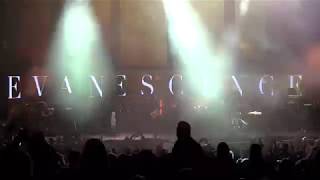 Download Lagu Evanescence: 17. Palladio / No More Tears / Alive (with Lindsey Stirling) MP3 Download Lagu Evanescence: 17. Palladio / No More Tears / Alive (with Lindsey Stirling) MP3