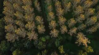 2023 M. Spalio 14 D.