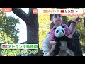 米アトランタに中国からジャイアントパンダ2頭到着「新たな楽しみが増えた」中国は“パンダ外交”でアメリカとの関係良好アピールか｜TBS NEWS DIG
