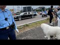 天皇陛下皇后陛下を命あるうちに４頭＋1人でお姿を拝しました