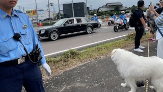 Four dogs and one person visited the Emperor and Empress