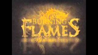 Video thumbnail of "Burning Flames   If you get what you want tonight"