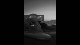 Talk - Salvatore Ganacci | lyrics | song | edit | #lyrics #shortvideo #edit  #music