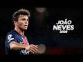 João Neves Full Season Show 2026ᴴᴰ 
