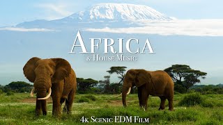 Africa & House Music - 4K Scenic Film with EDM Music by Scenic EDM 12,195 views 2 years ago 1 hour