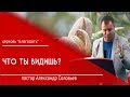 Что ты видишь?