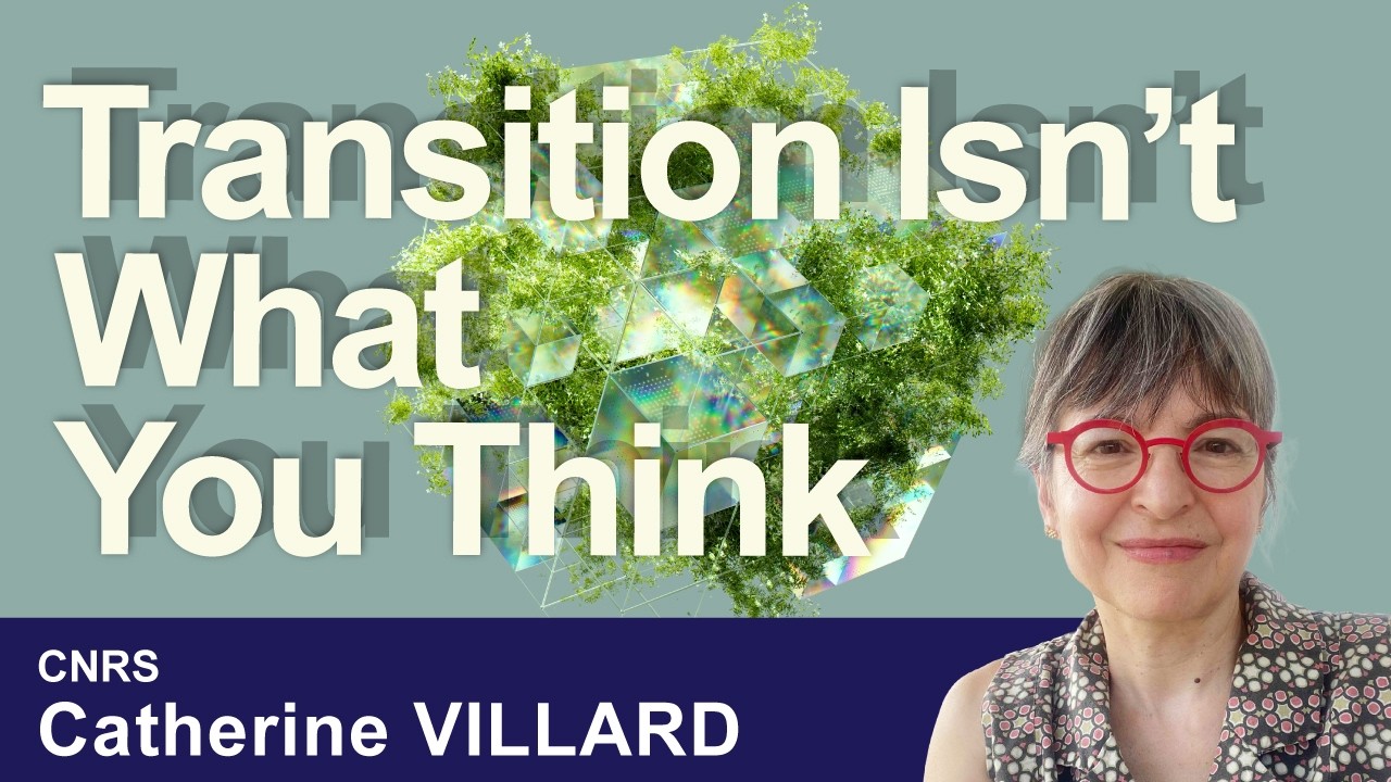On the Uses of the Concept of Transition