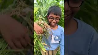 আপন আদরের ছেলে আমার #vlogwithsohelvillagelifestyleinbangladeshbeautiful #reelsvideo #7thnovember