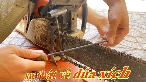 sự thật về cách dũa xích cưa cây 2023| hoai han vlog