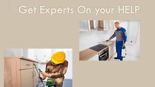 Concord NC Cockroach Exterminator - Cockroach Control Service in Concord NC