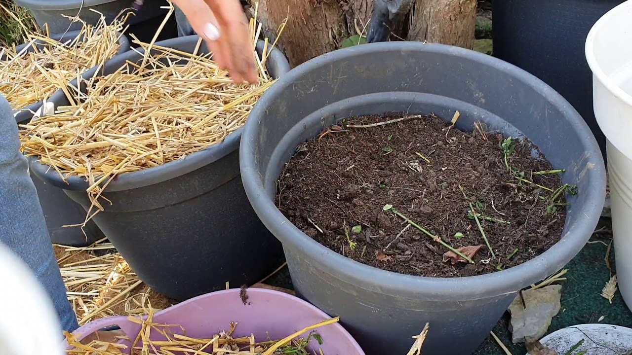 Culture en lasagne en pot pour petit jardin et balcon Pot lasagna — free download