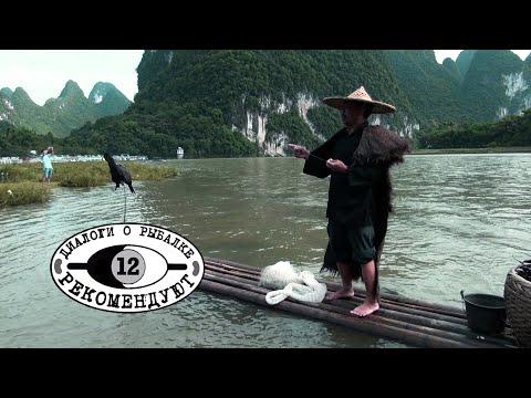 Китайские рыболовы в Астрахани | Диалоги о рыбалке рекомендуют