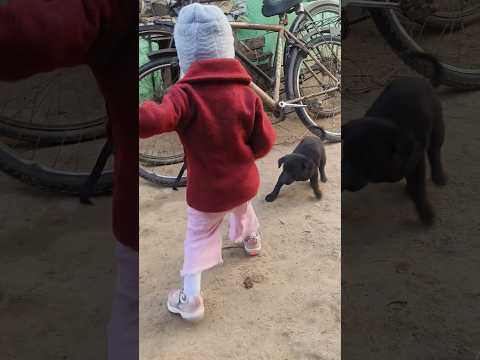 Fighter Baby Girl ।।#shorts #viral #fighting #dog #highlights #dailyvlog